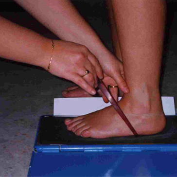 Atelier Maison Scarpe - archive